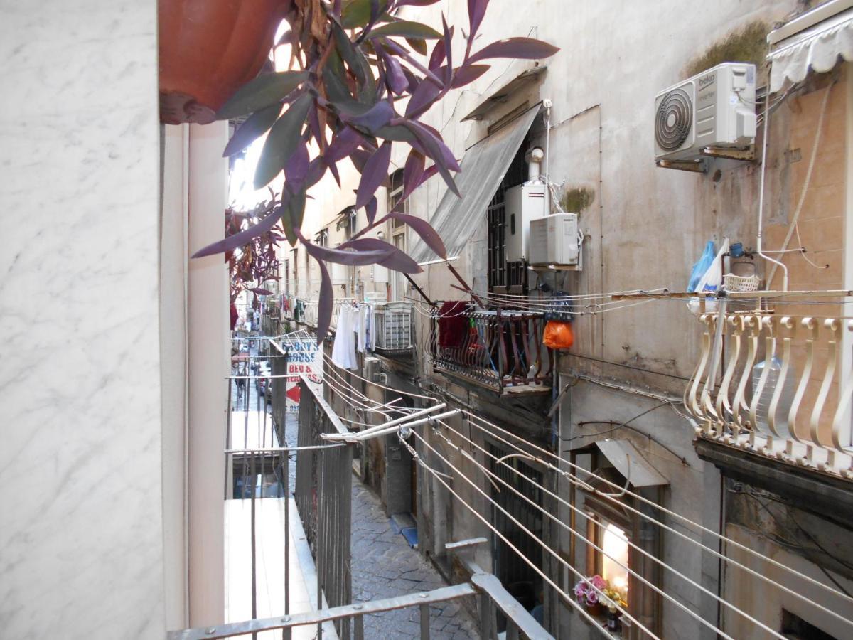 Robby'S House Bed & Breakfast Vico Equense Luaran gambar